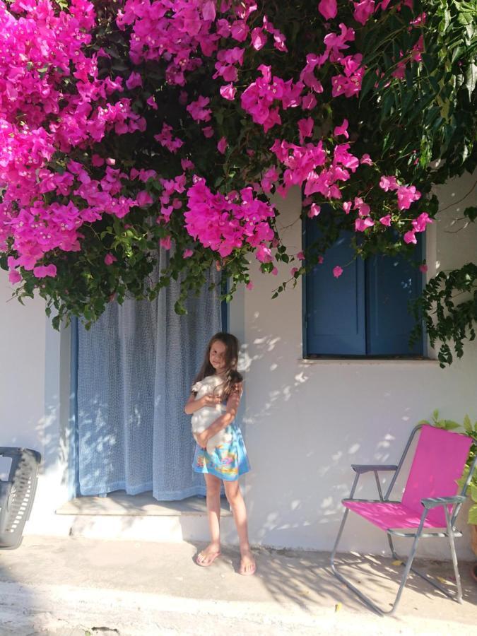 ~~ Sea Breeze Covered House ~~ 모클로스 외부 사진